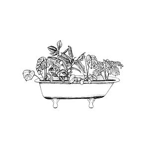 Botanical Bath