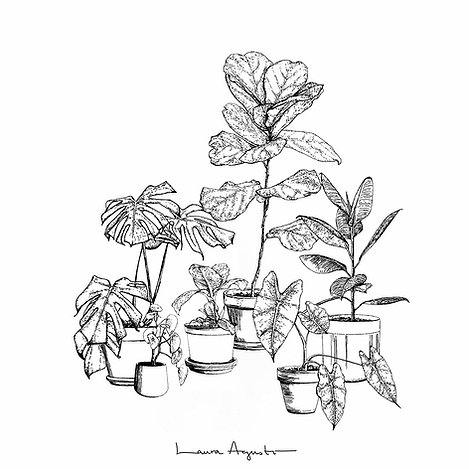 Plants (M)