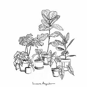 Plants (S)