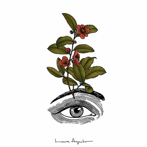 Eye in bloom