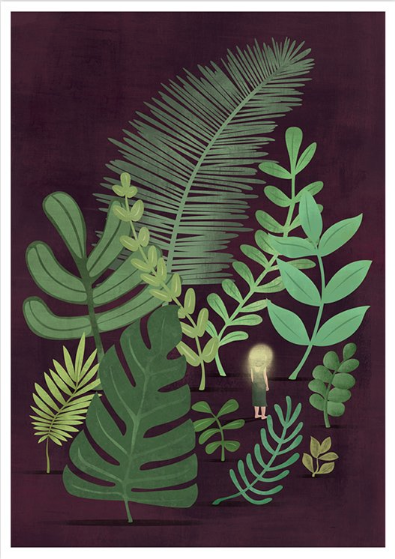 Photosynthesis (S)