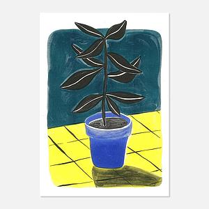 Black Plant