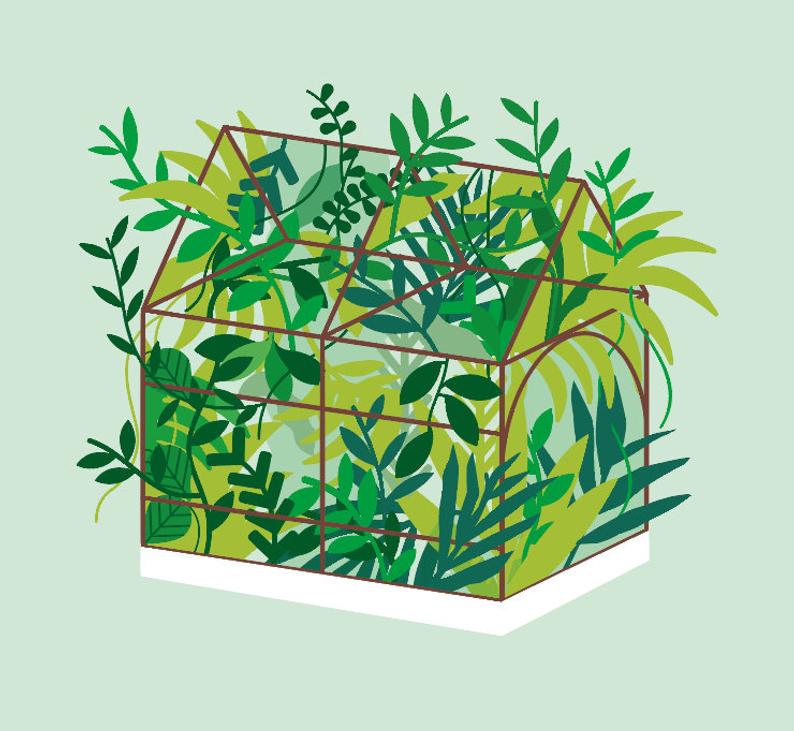 Greenhouse