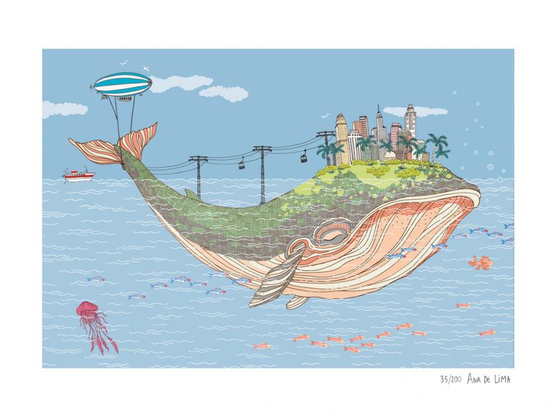 Ballena dormida (S)