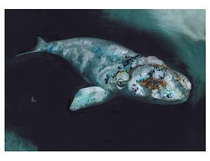 Balena blanca