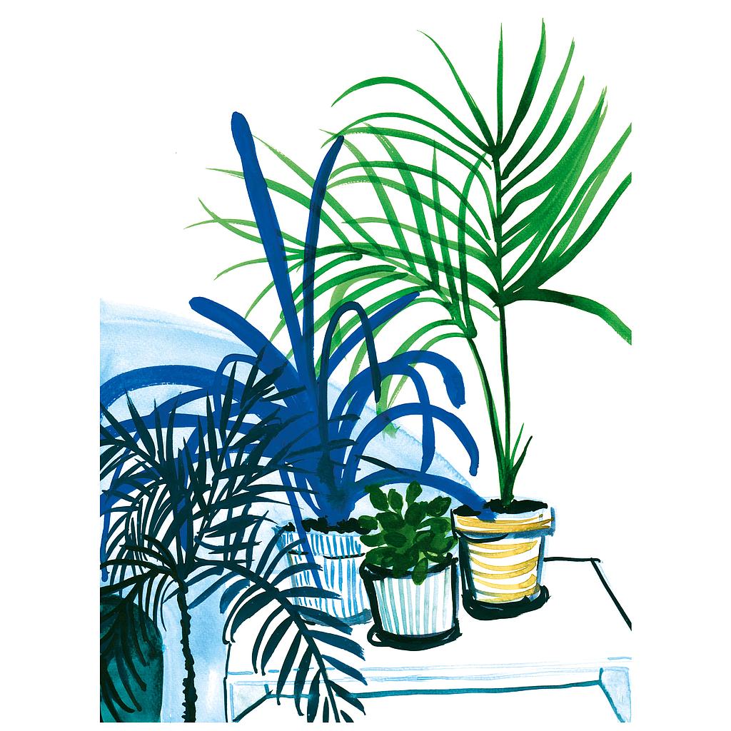 Group of plants (M)