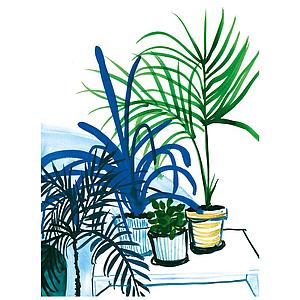 Group of plants (M)