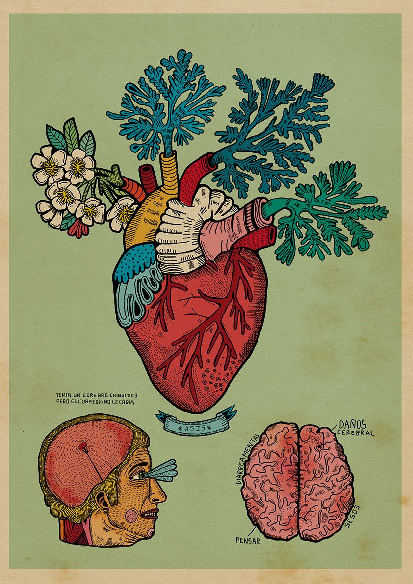 Corazón florío (M)