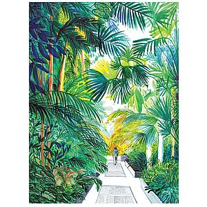 Palmtrees and one person