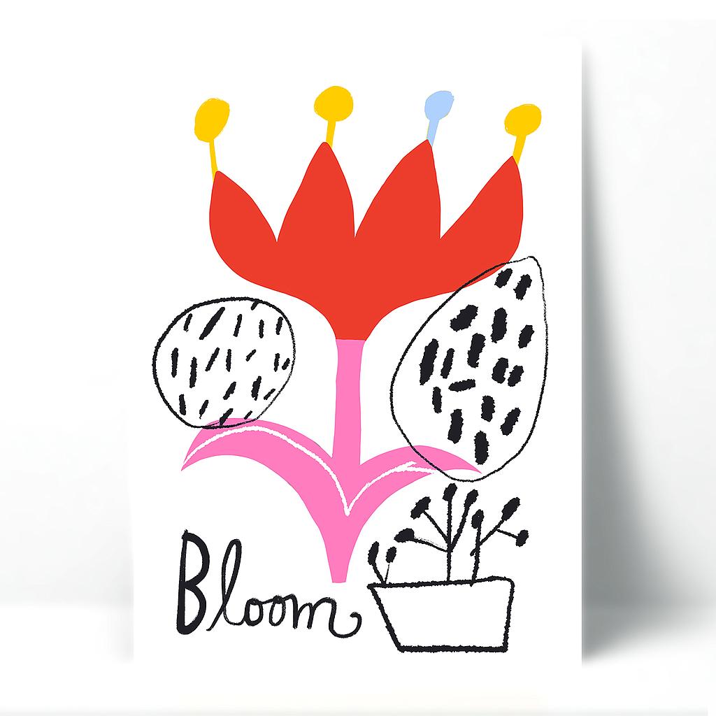 Bloom