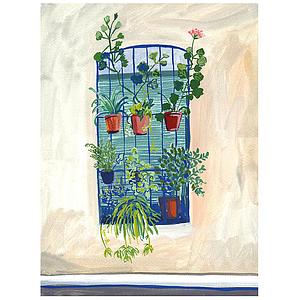 Window in Bcn with pink flowers