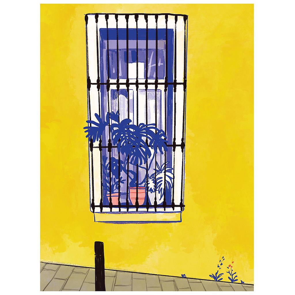 Window in Barcelona with blue Monstera