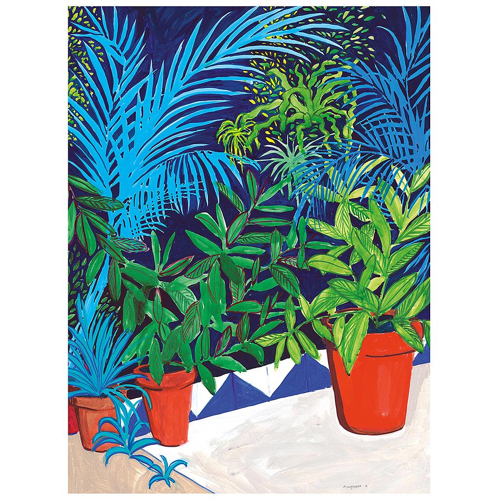 Patio with terractotta pots
