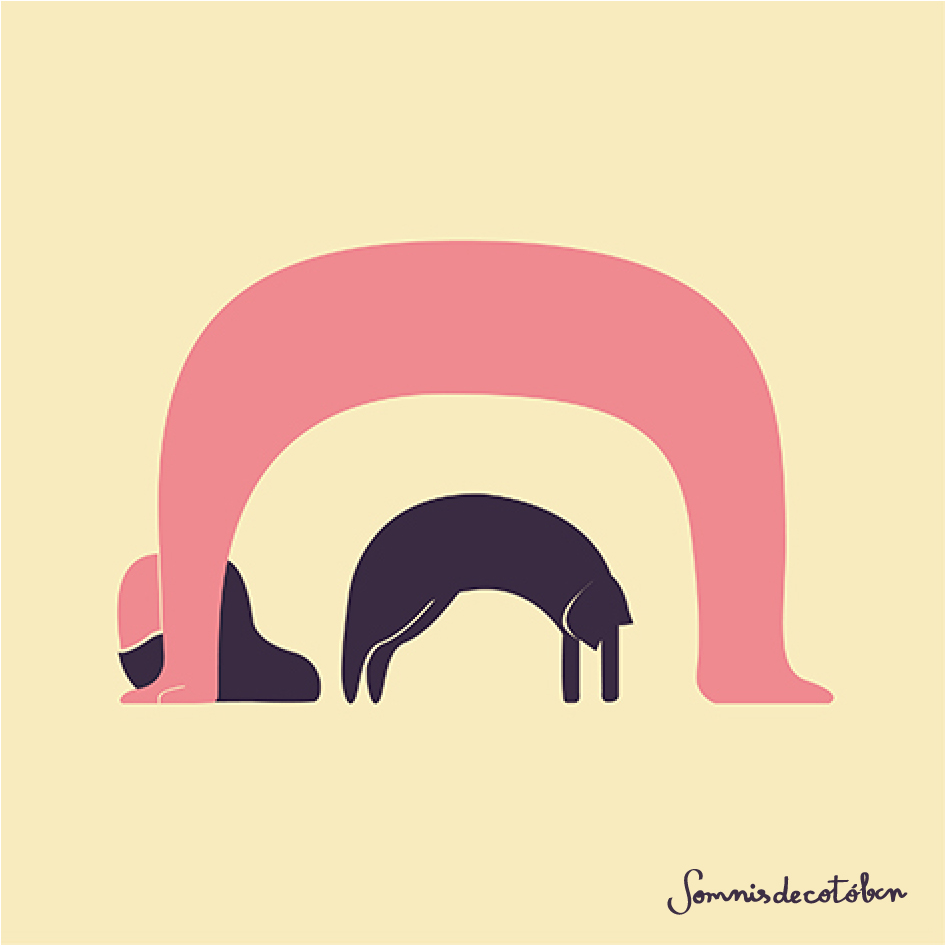 Bow (S)
