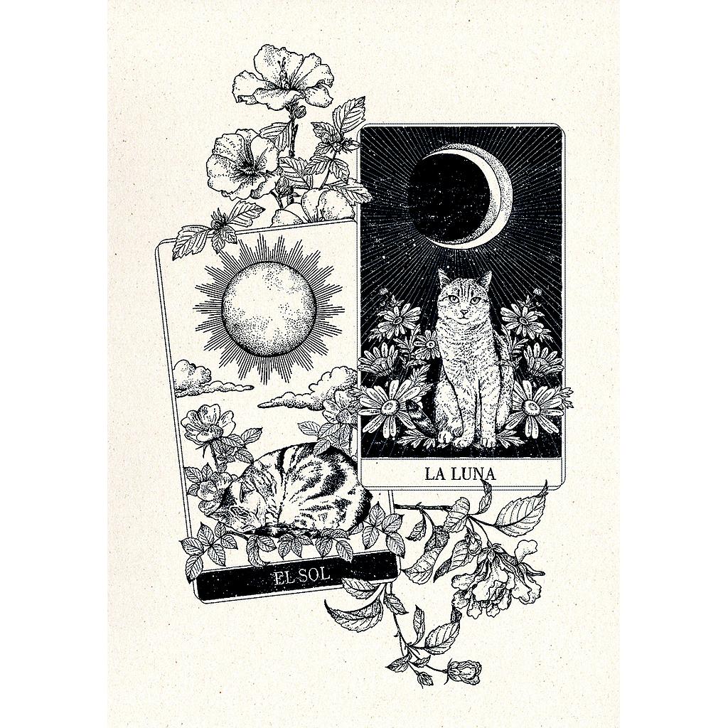 Tarot (XS)