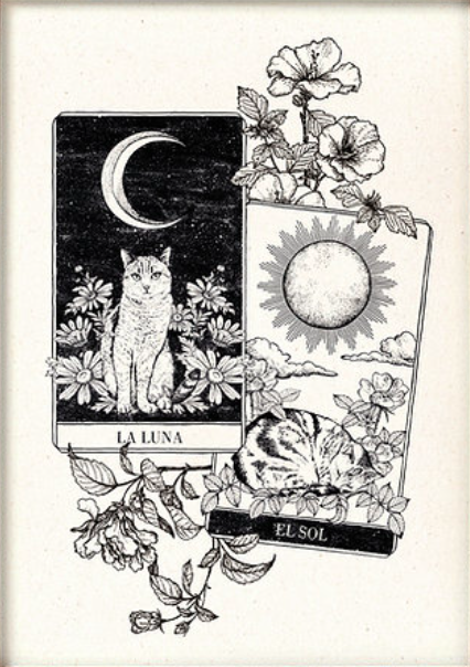 Tarot (XS)
