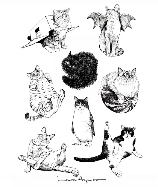 Some cats