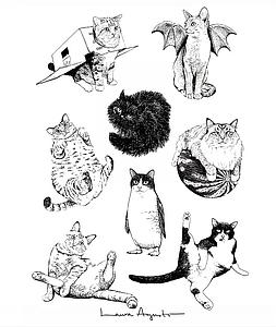 Some cats