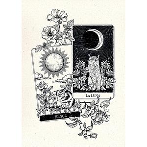 Tarot (S)
