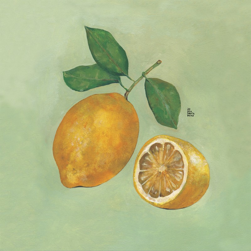 Llimola