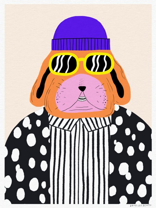 Blue hat dog