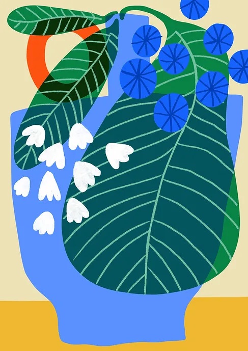 Alocasia (S)