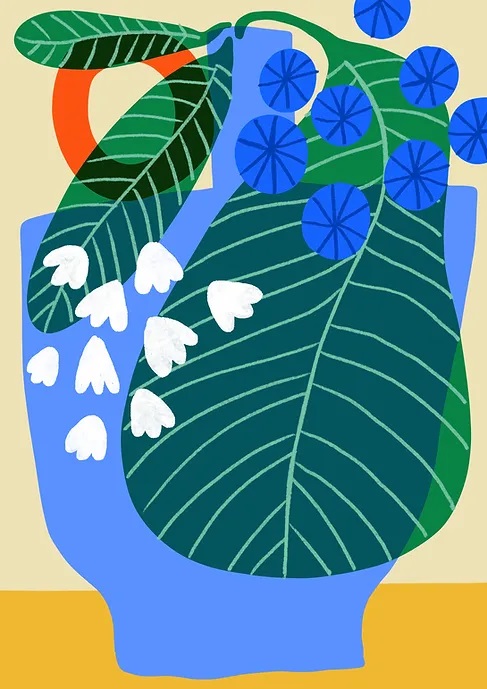 Alocasia (M)