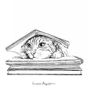 Cat under the book