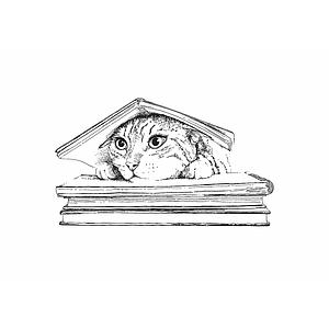 Cat under the book (XS)