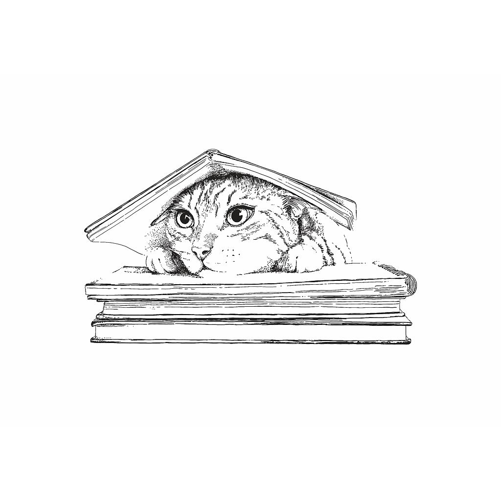 Cat under the book (S)