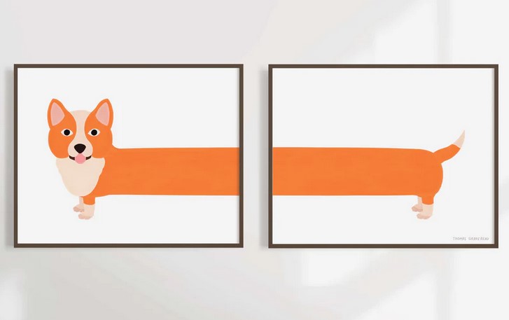 Corgi