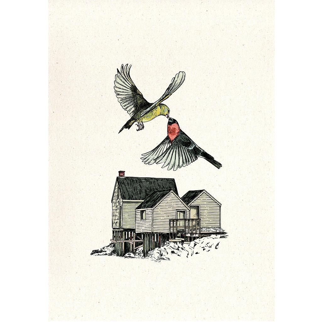Birds (XS)