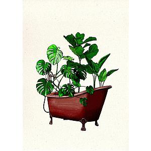 Plant bath (XS)