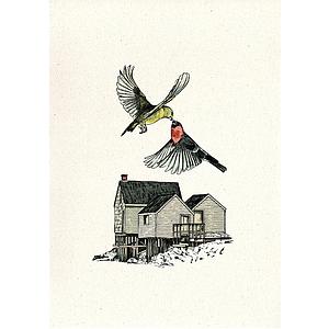 Birds (S)