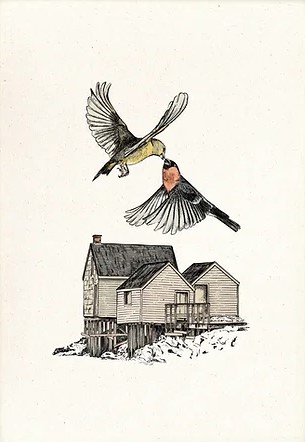 Birds (S)