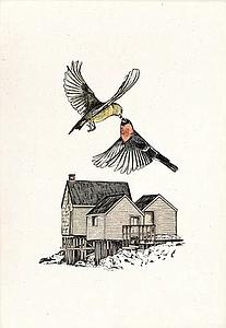 Birds (S)