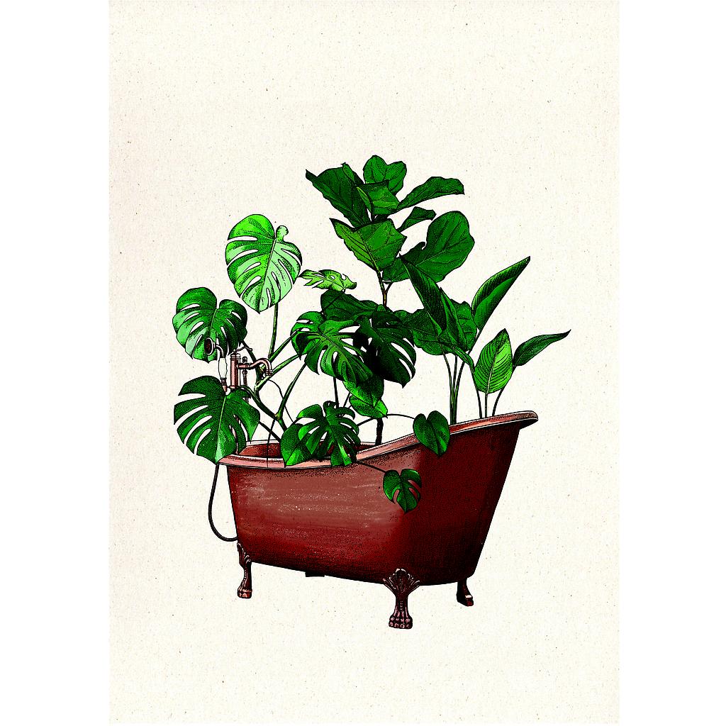 Plant bath (S)