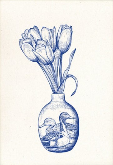 Tulip (S)