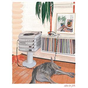 Siesta - Canvas S