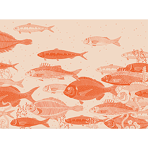 Atlantic red (M)