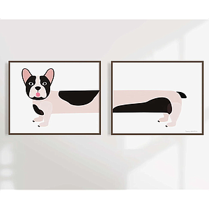 Bouledogue Français