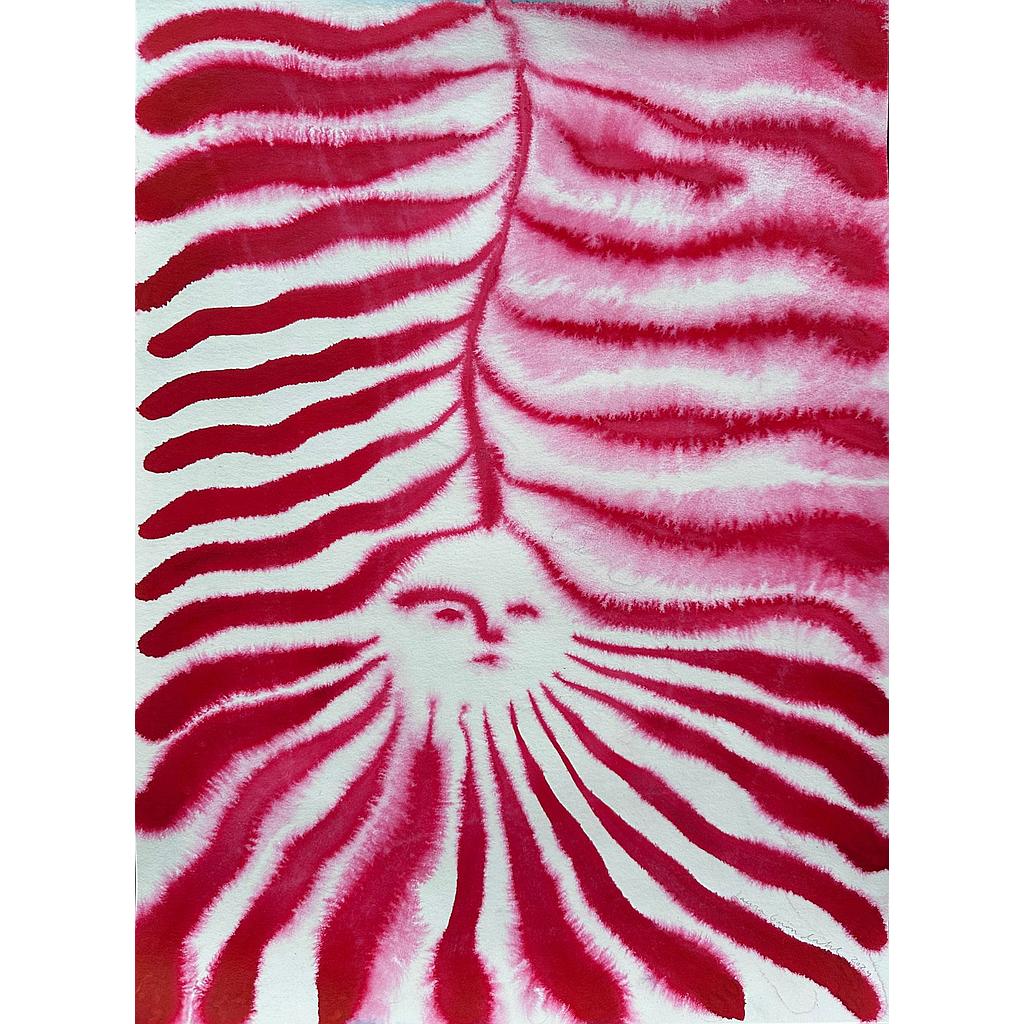 Red drifter