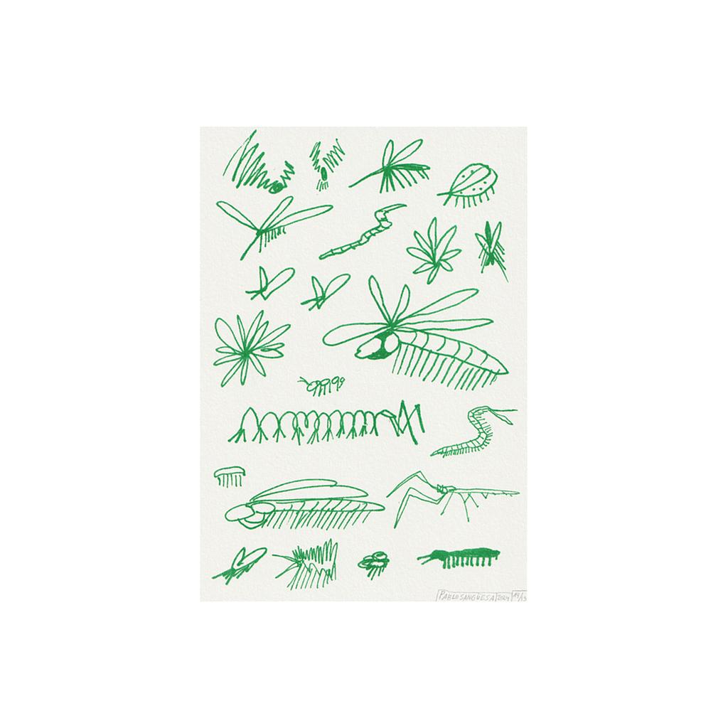 Insectos