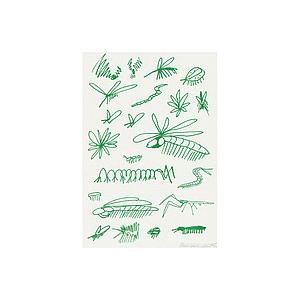 Insectos