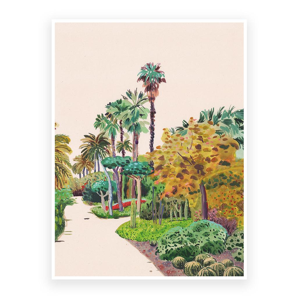 Tall Palmtrees