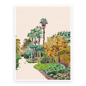 Tall Palmtrees