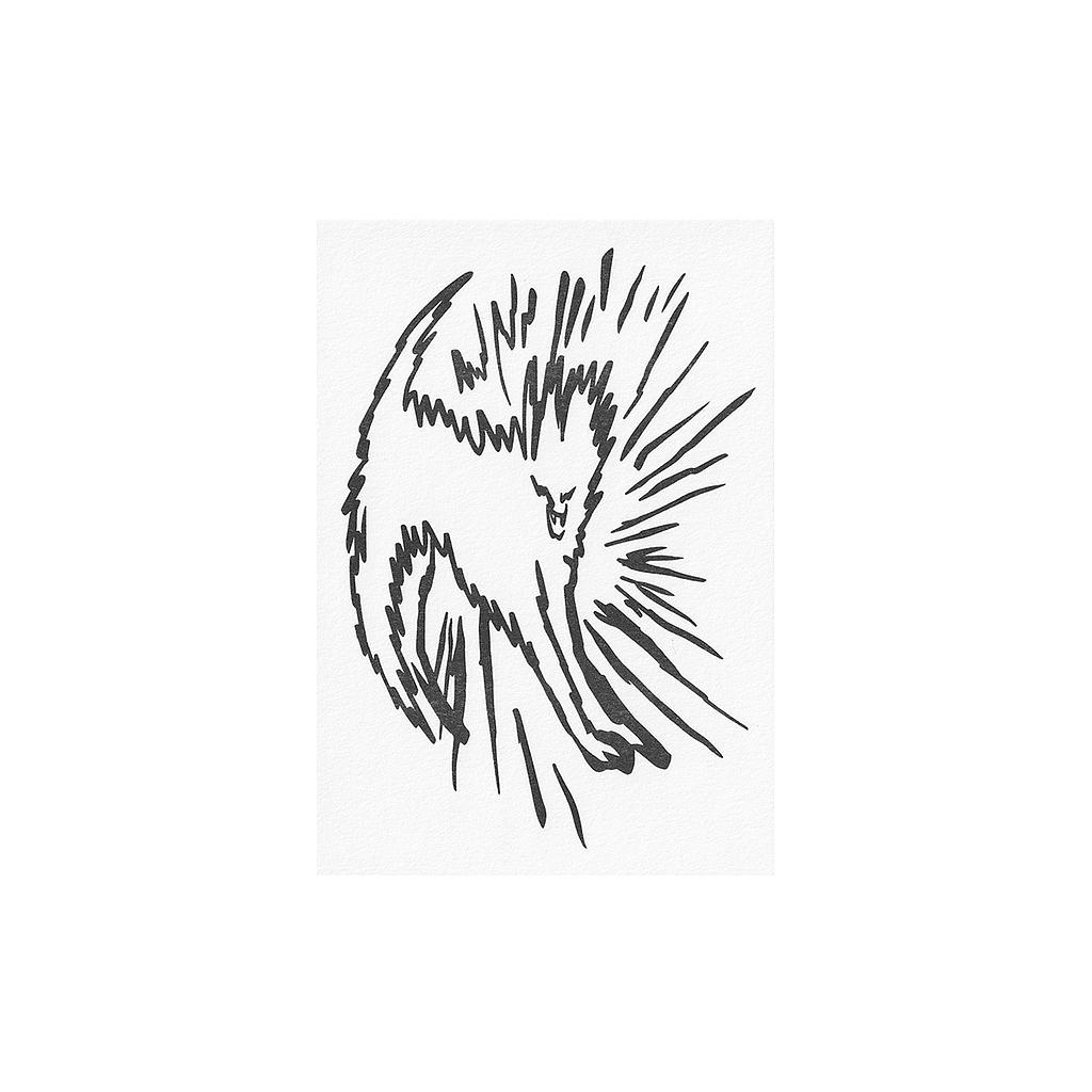 Gato Furioso - Postal