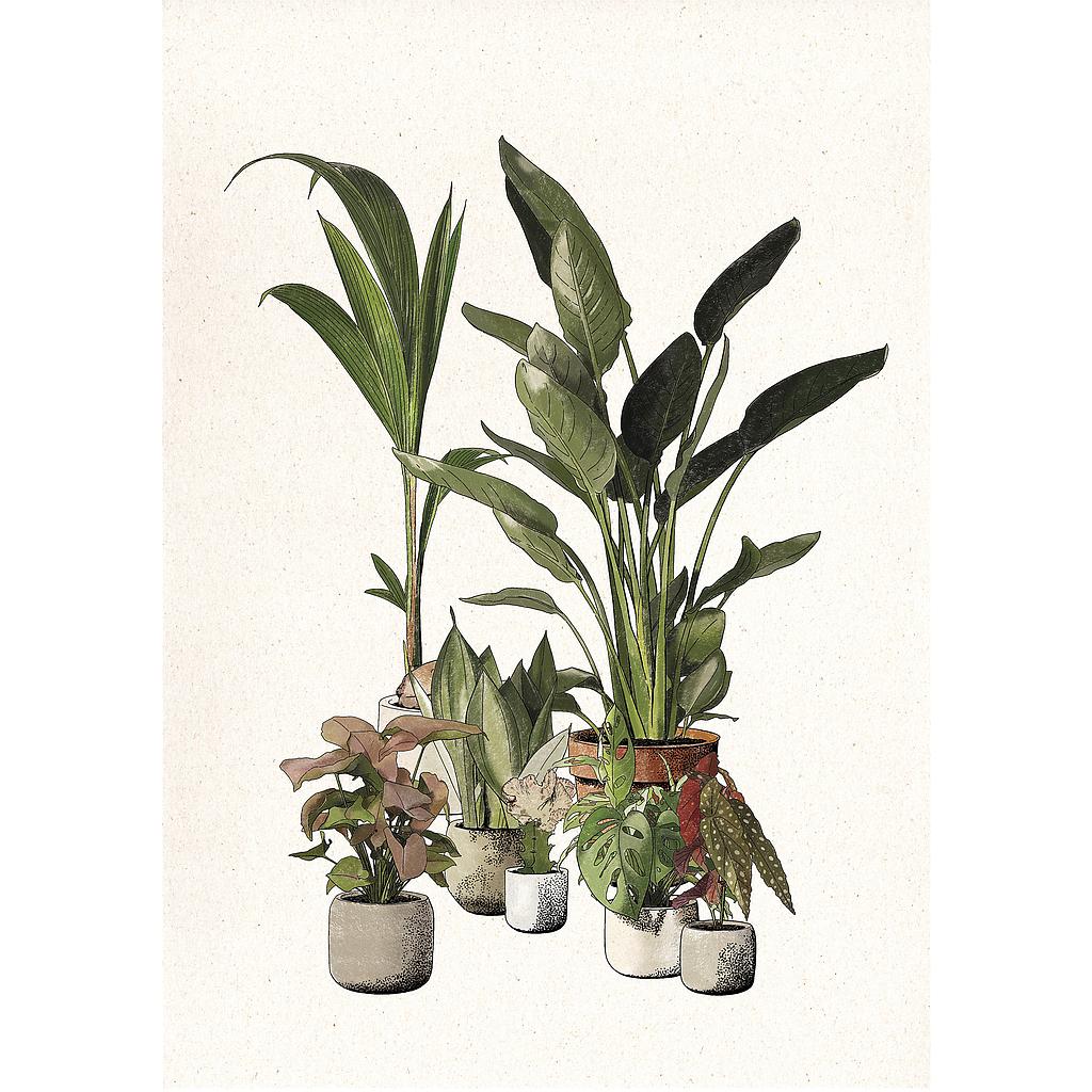 Green Companions (S)