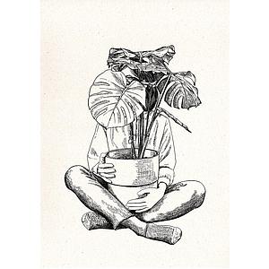 Plant Mind (S)