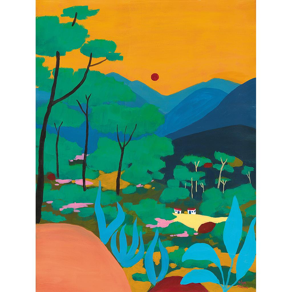 Posta de sol a Colombia (S)